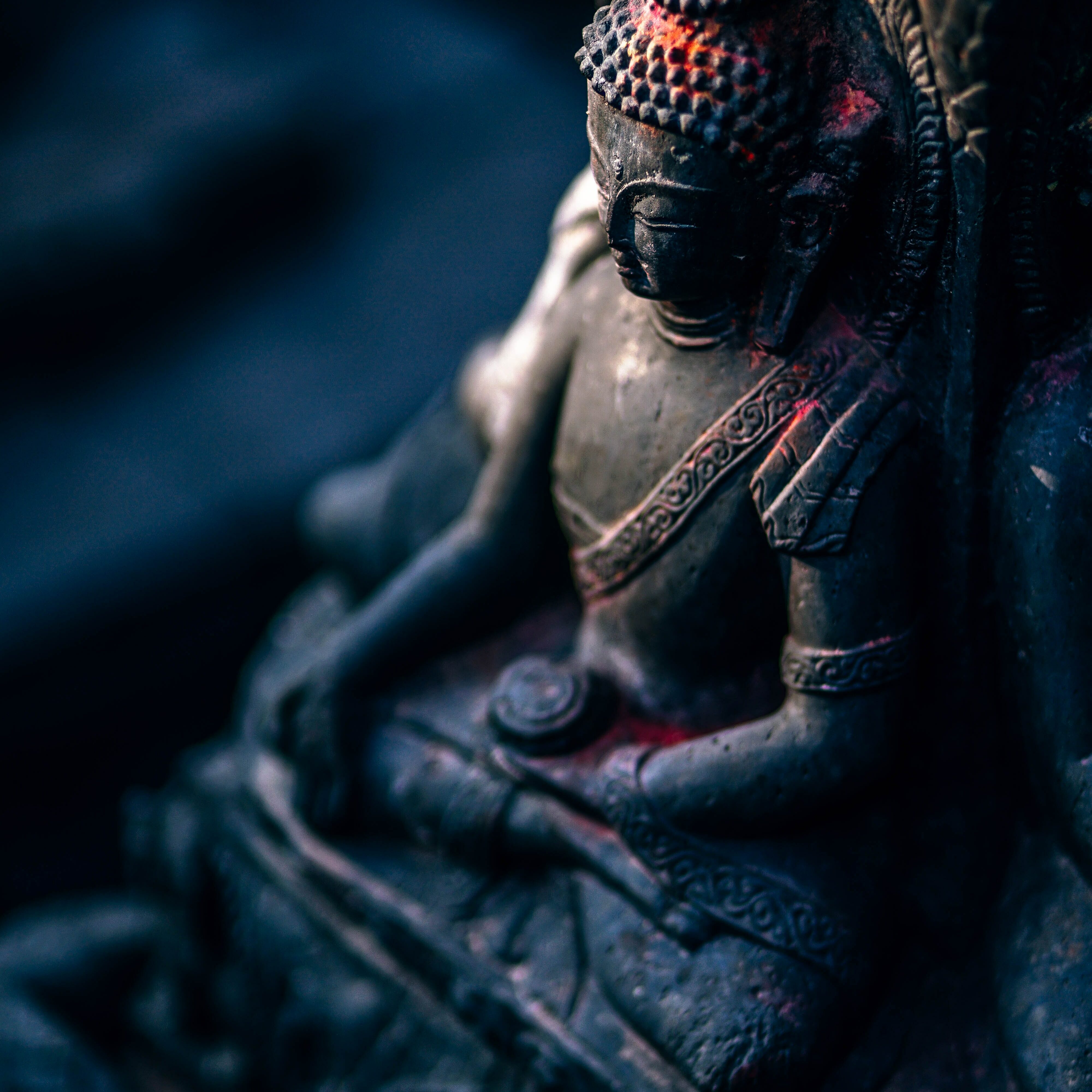 fancycrave-219668-unsplash